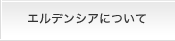 エルデンシアについて