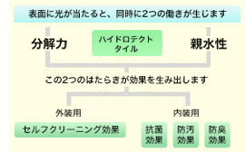 特徴イメージ